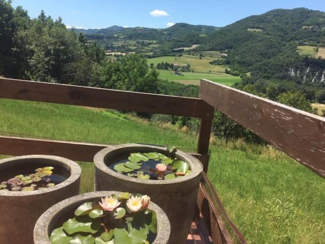 Casa Petra - Casa Tre Stelle - Casa Caneva - Ferien Fuer 6-14 Personen Ponti Exteriör bild