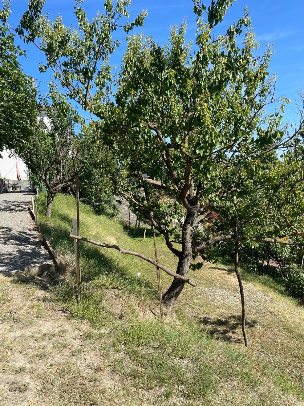 Casa Petra - Casa Tre Stelle - Casa Caneva - Ferien Fuer 6-14 Personen Ponti Exteriör bild